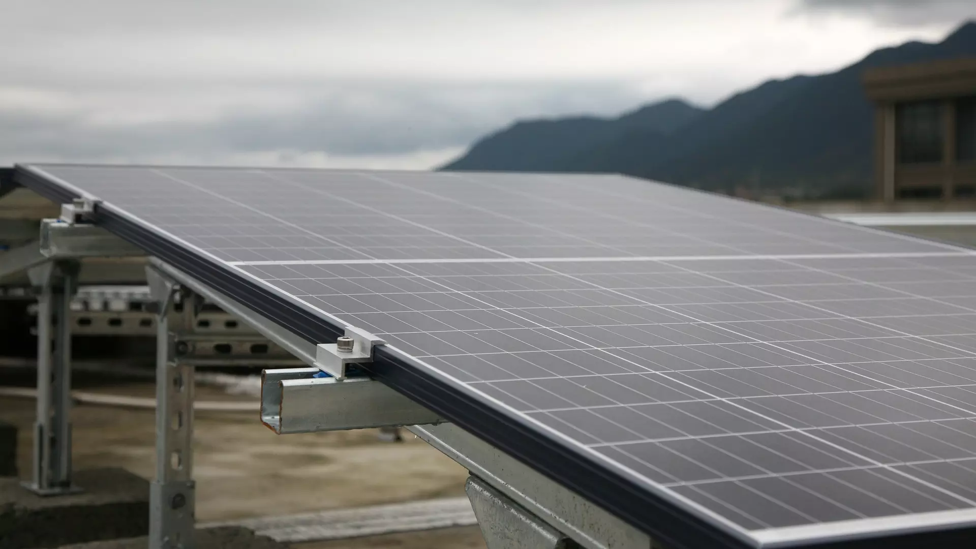 Jak działa fotowoltaika? Zasada działania i budowa paneli słonecznych